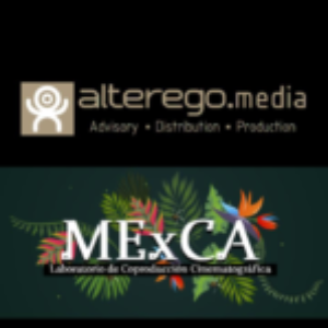 Foto de perfil de Alterego Media / MExCA